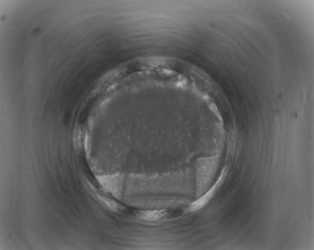 X0000083990191200703161632