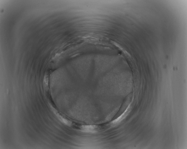 X0000083990192200703161632