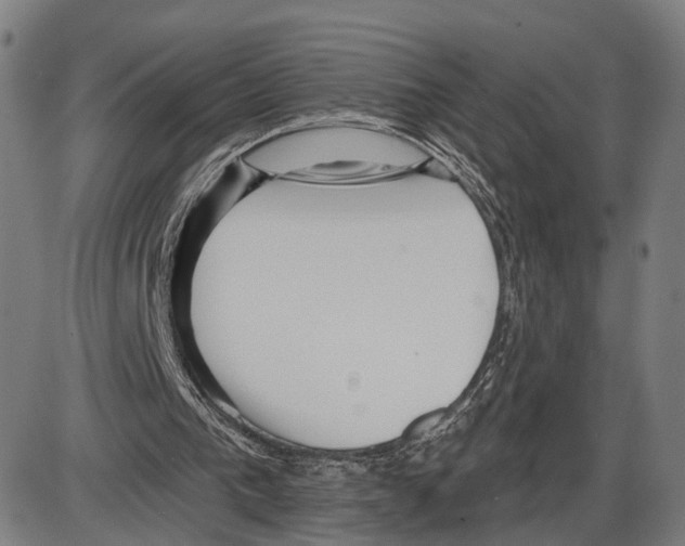 X0000083990193200703161631