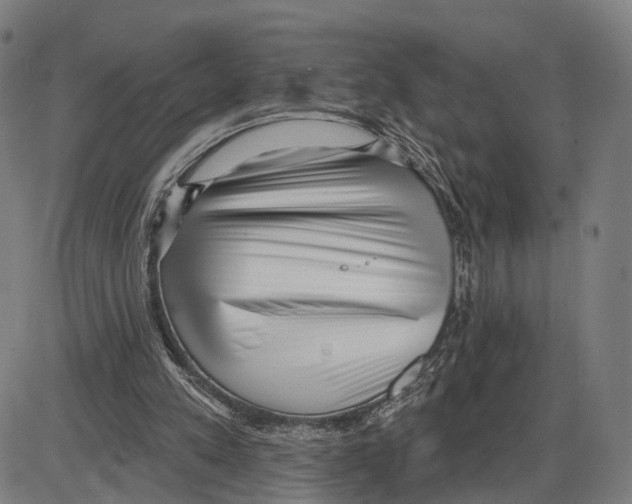 X0000083990197200703161631