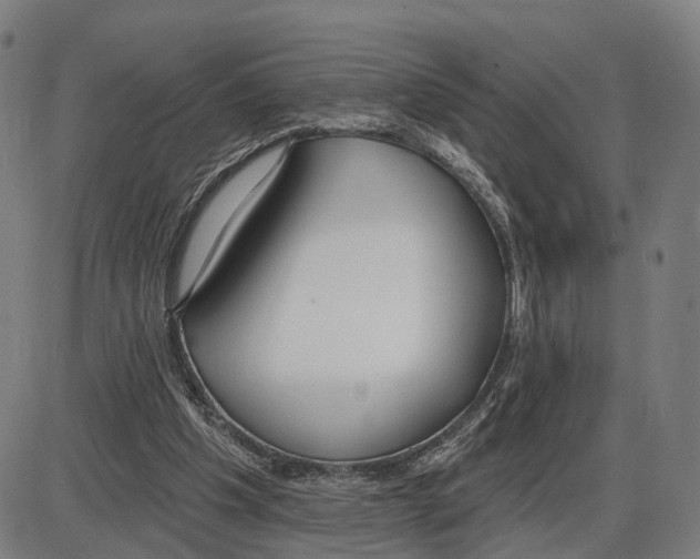 X0000083990201200703161631