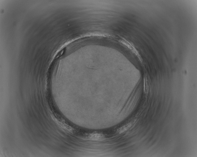 X0000083990204200703161631