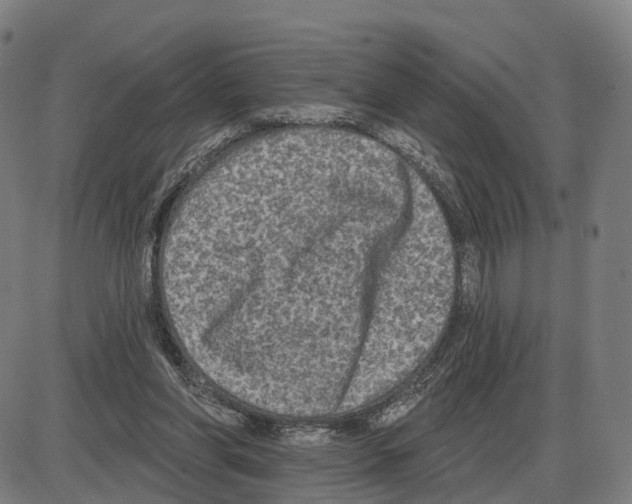 X0000083990206200703161631