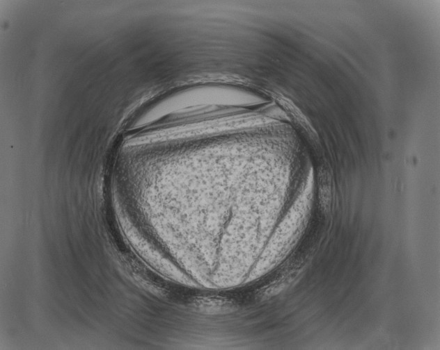 X0000083990207200703161631