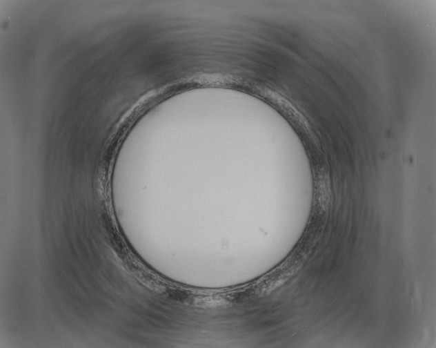 X0000083990208200703161631