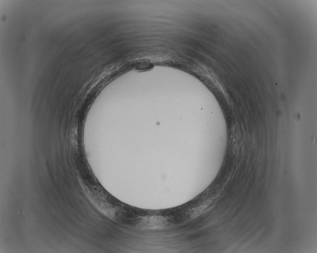 X0000083990212200703161631