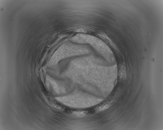 X0000083990213200703161631