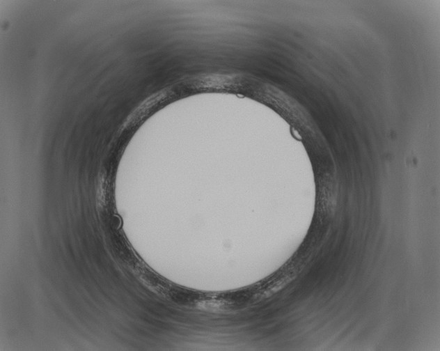 X0000083990216200703161631