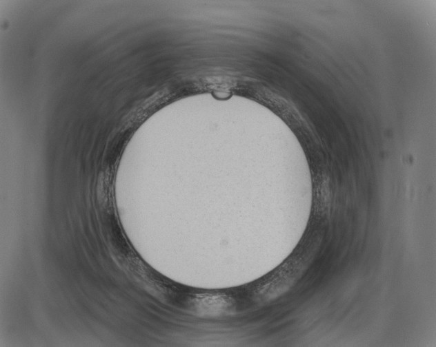 X0000083990218200703161631