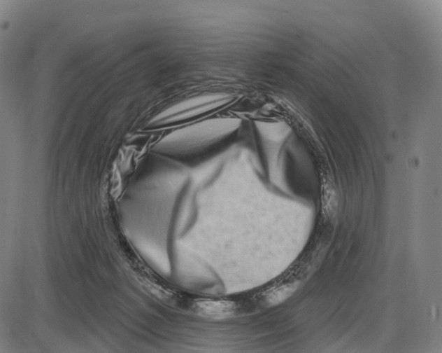 X0000083990221200703161631