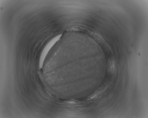 X0000083990224200703161631