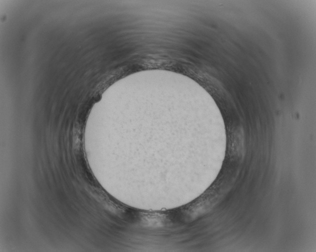 X0000083990226200703161631