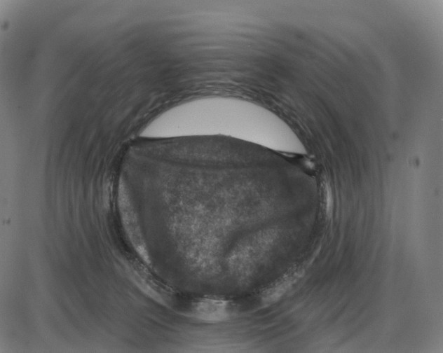 X0000083990227200703161631