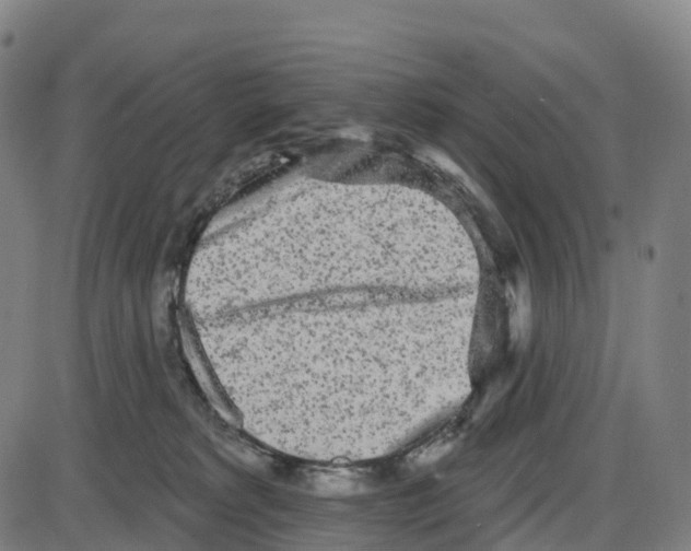 X0000083990229200703161631