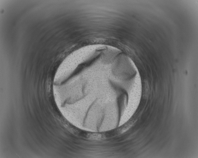 X0000083990230200703161631