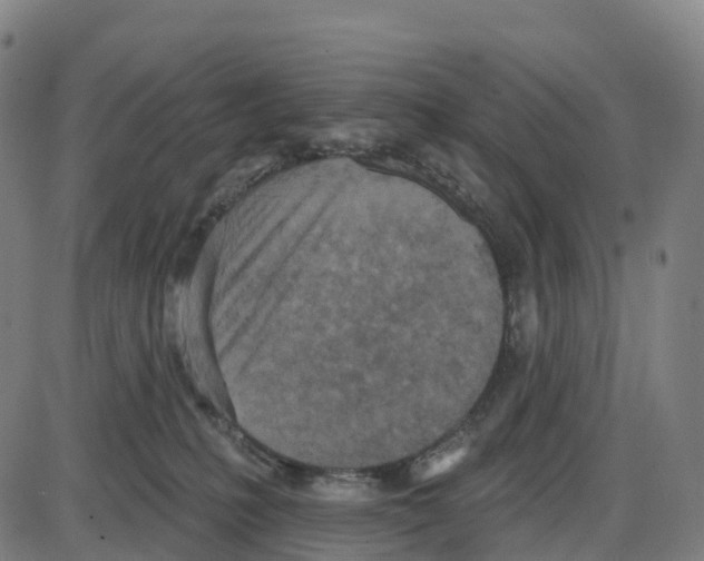 X0000083990231200703161631