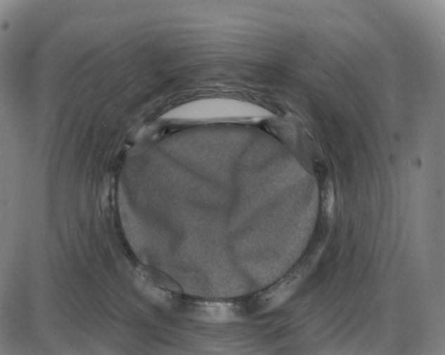 X0000083990233200703161631