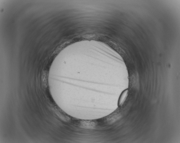 X0000083990234200703161631