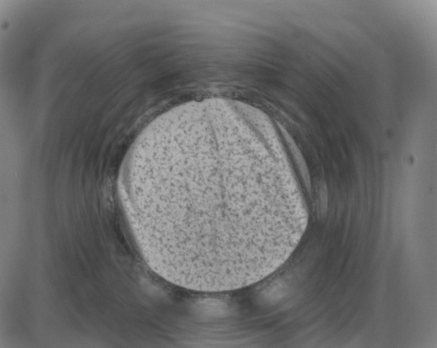 X0000083990236200703161631