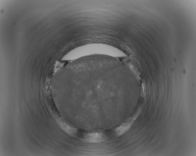 X0000083990237200703161631