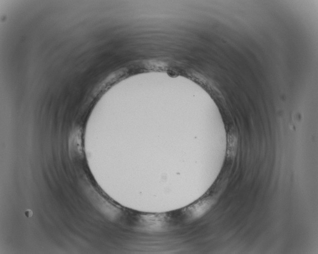 X0000083990238200703161631