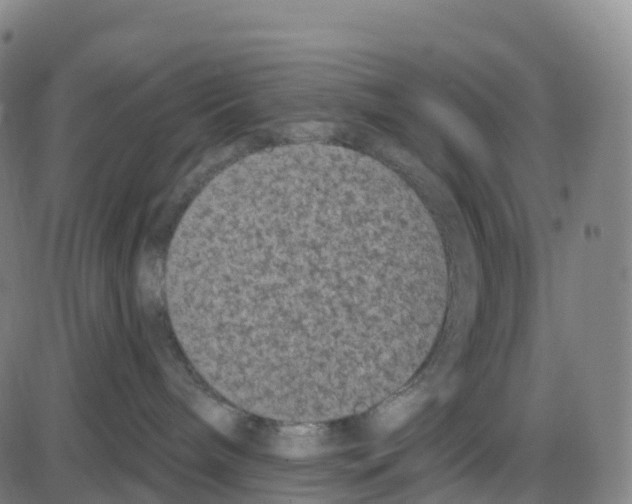 X0000083990240200703161631