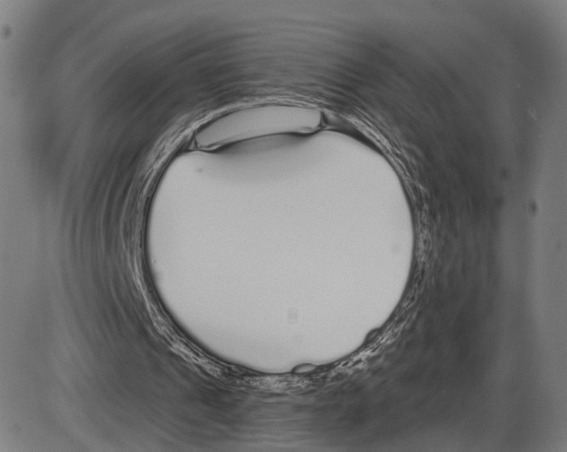 X0000083990241200703161630