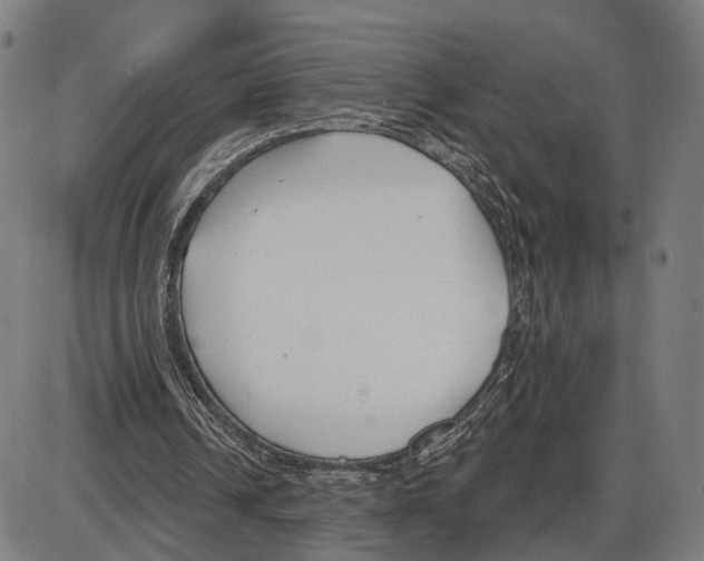 X0000083990242200703161630