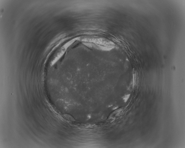 X0000083990243200703161630