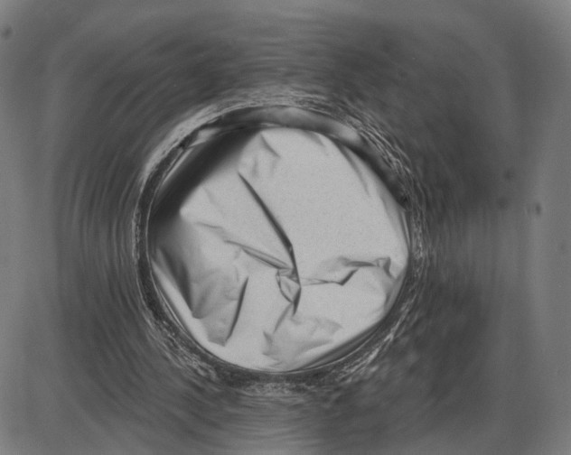 X0000083990244200703161630