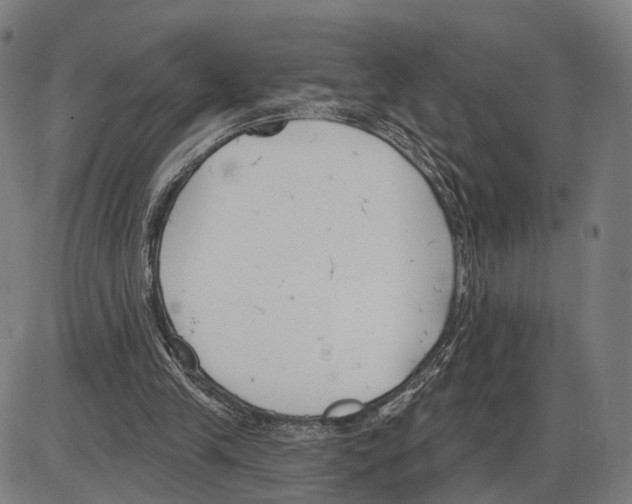 X0000083990245200703161630