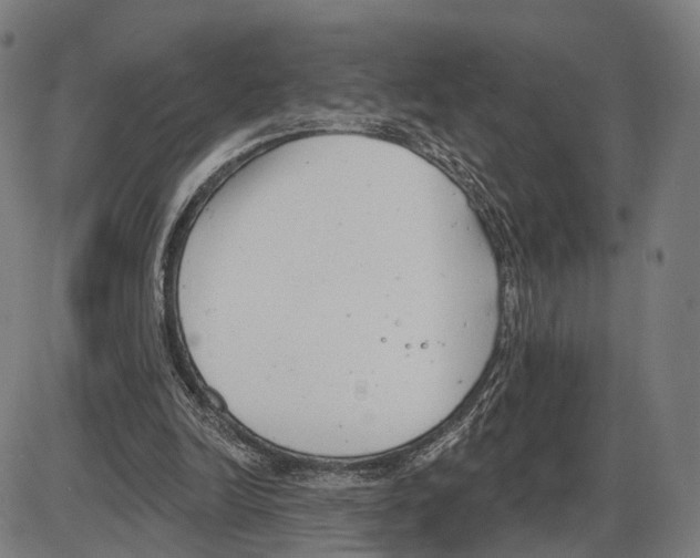 X0000083990246200703161630