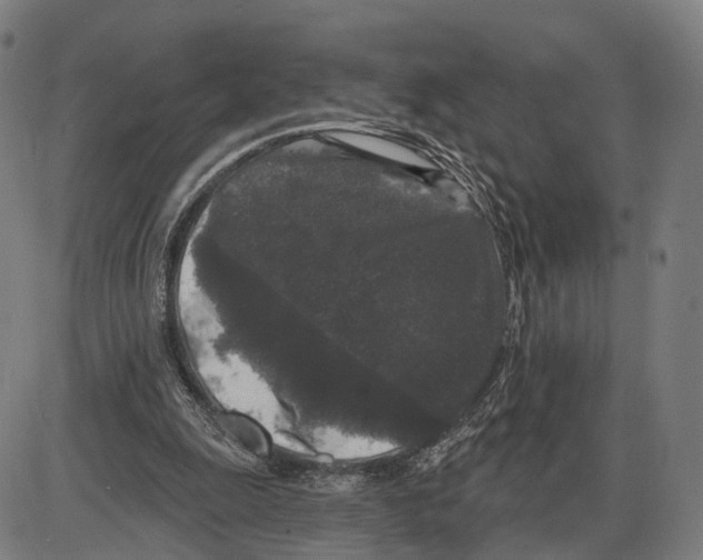 X0000083990247200703161630