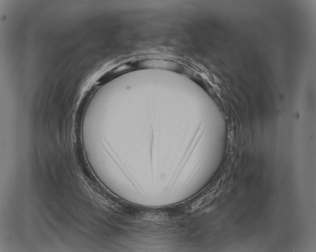 X0000083990248200703161630