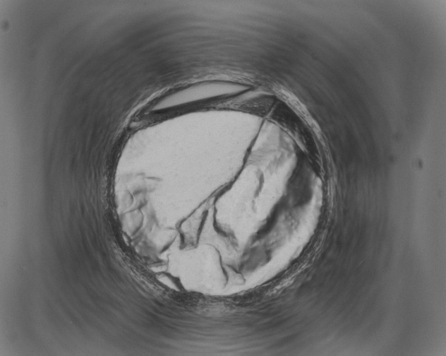 X0000083990249200703161630