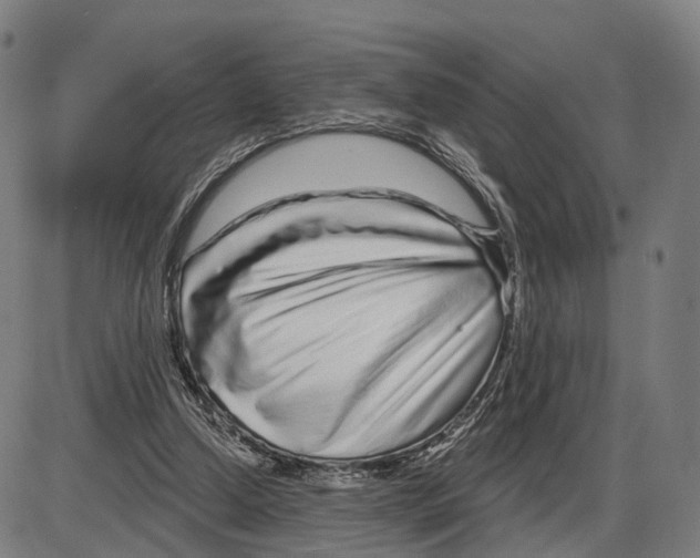 X0000083990250200703161630