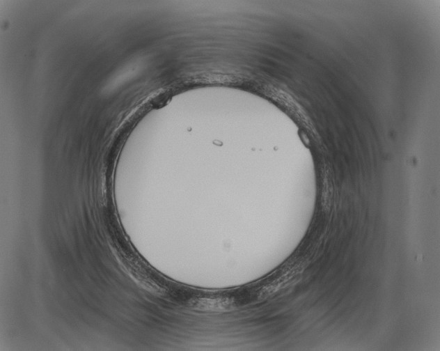 X0000083990251200703161630