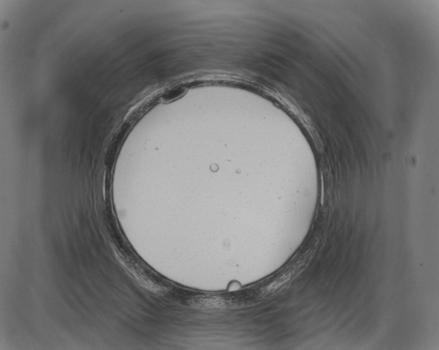 X0000083990253200703161630