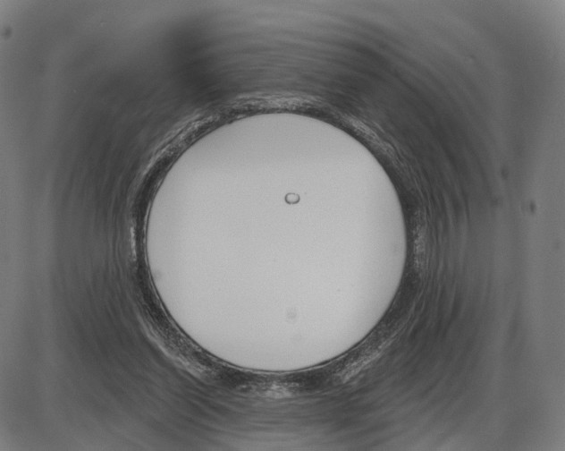 X0000083990254200703161630