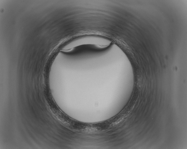 X0000083990256200703161630