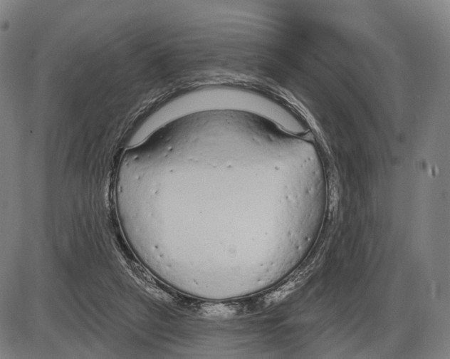 X0000083990257200703161630