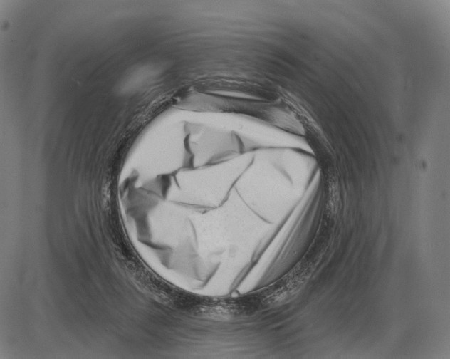 X0000083990259200703161630