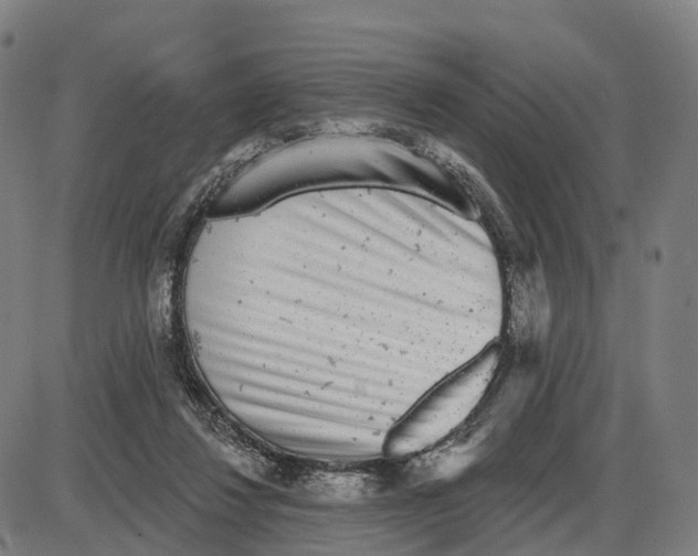 X0000083990260200703161630