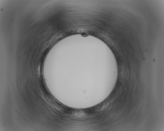 X0000083990262200703161630