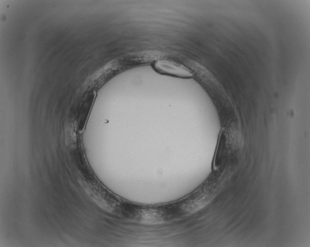 X0000083990264200703161630