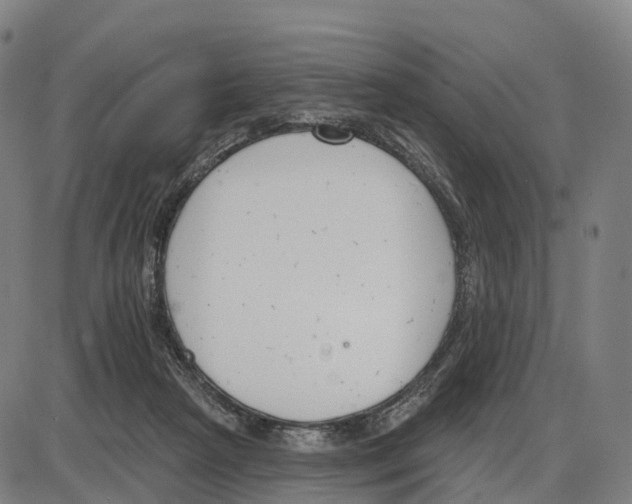 X0000083990265200703161630