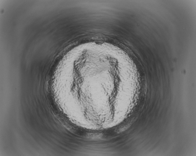 X0000083990266200703161630