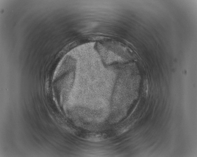 X0000083990267200703161630