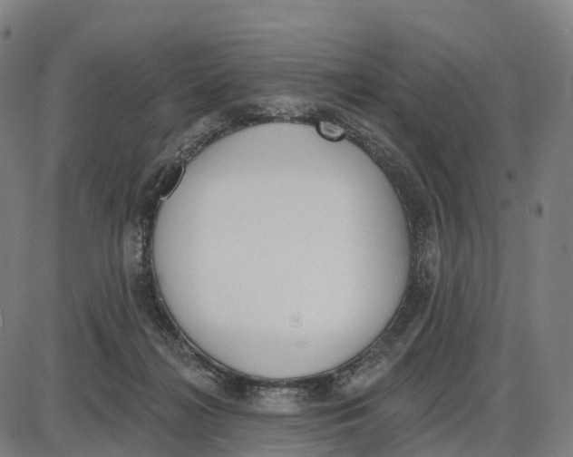 X0000083990268200703161630