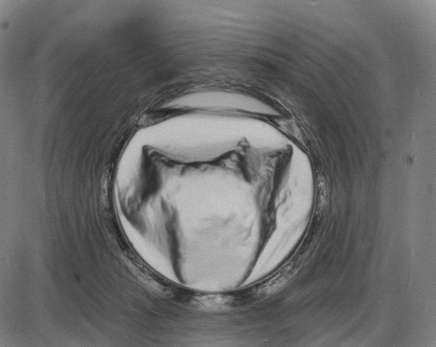 X0000083990269200703161630